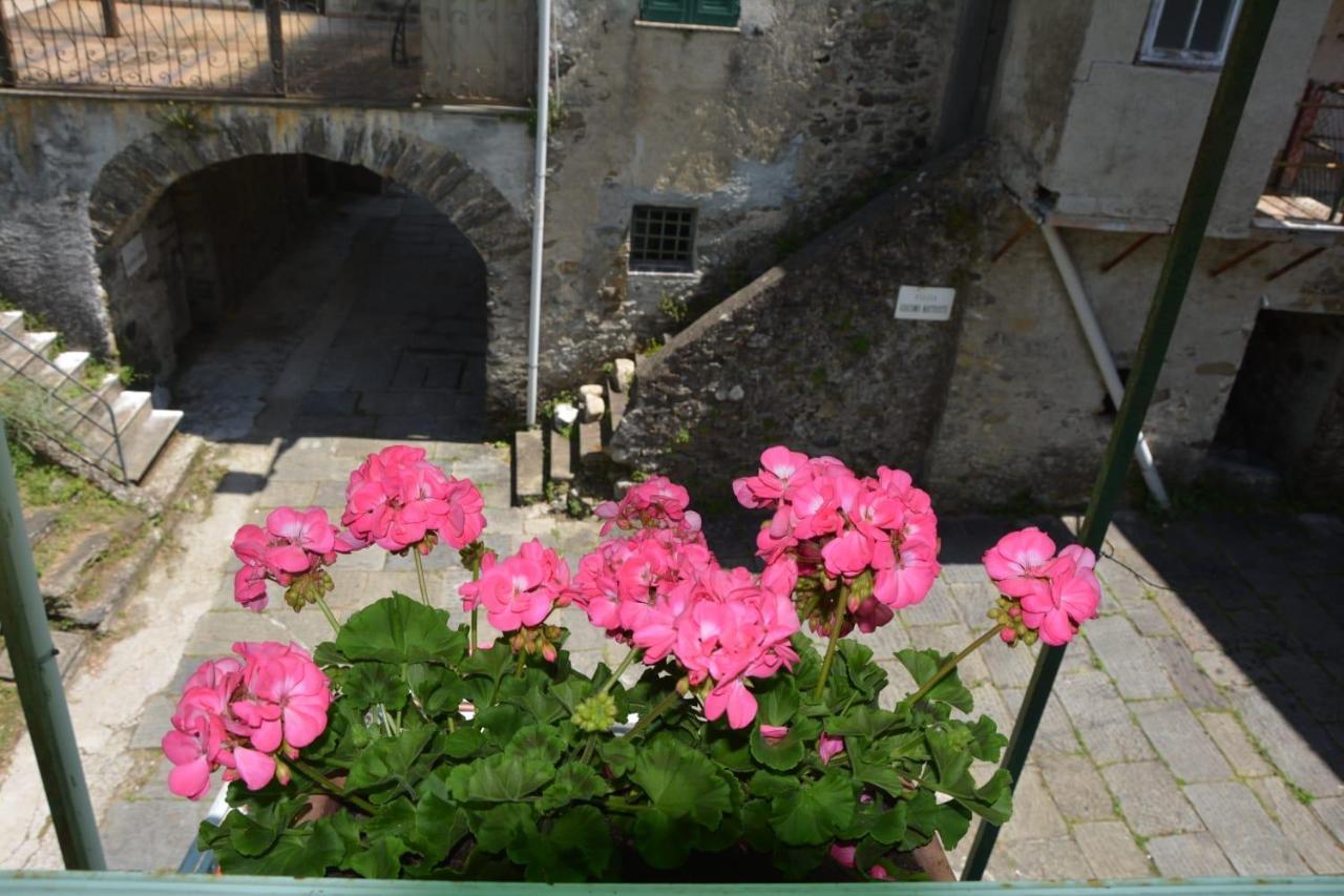Agriturismo Ghirlanda Norma Rita Carrodano Inferiore Exterior foto