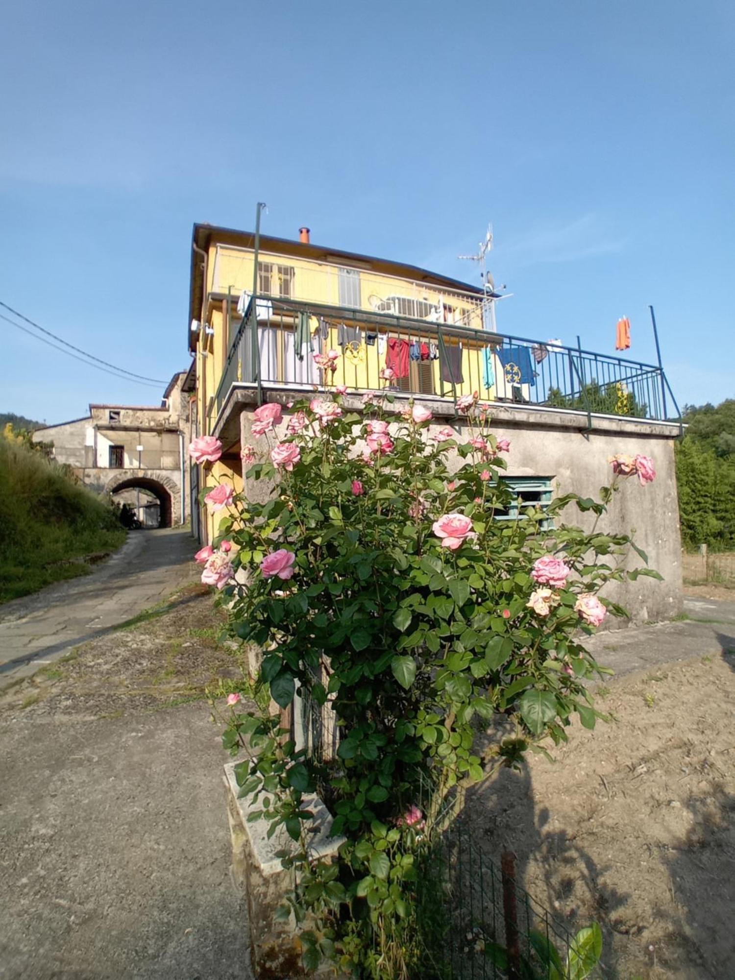 Agriturismo Ghirlanda Norma Rita Carrodano Inferiore Exterior foto